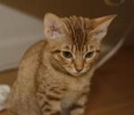 _MG_2348.JPG